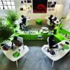 Creating a Green Office Environment