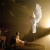 What Is The Importance of Angels in Our Lives Today?