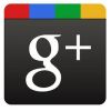 Google+ the New Social Media Service, Will It Conquer Facebook or Fall by the Wasteside?