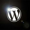 A Sneak Into Rapid and Overwhelming WordPress Development