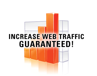 Web Traffic Mentor