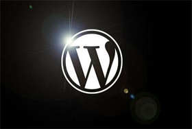 A Sneak Into Rapid and Overwhelming WordPress Development