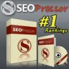 SEOPressor, an SEO Expert Always at Your Side